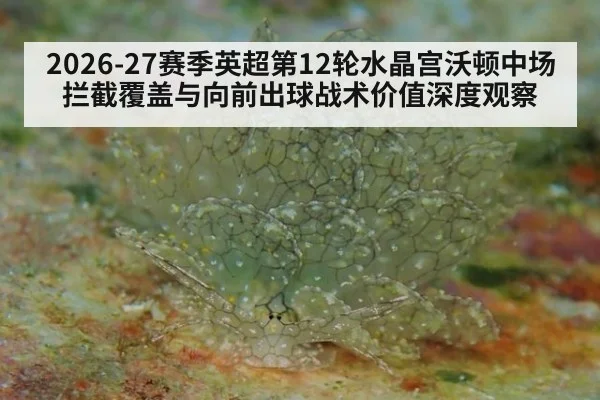 2026-27赛季英超第12轮水晶宫沃顿中场拦截覆盖与向前出球战术价值深度观察